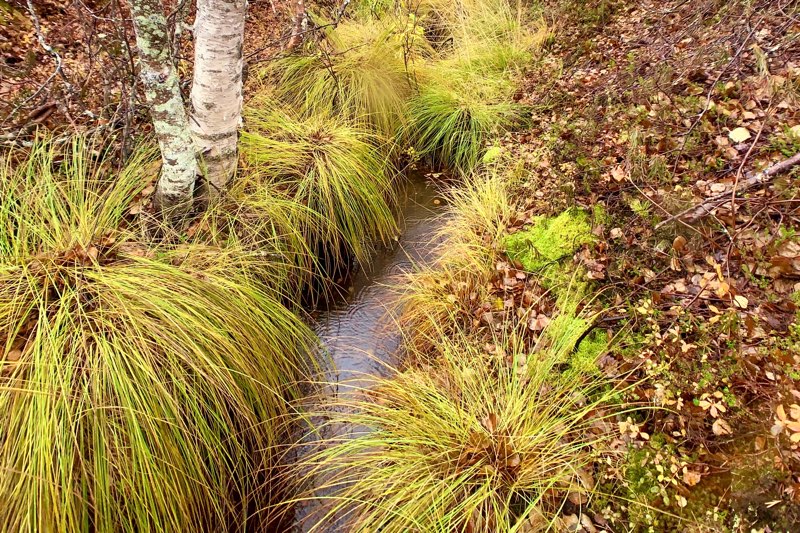 picture of landscape